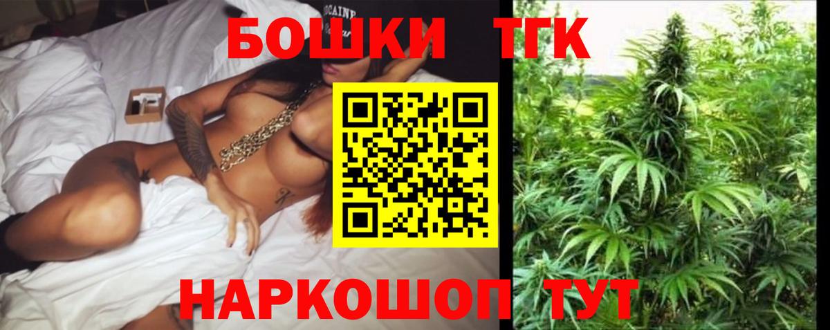 Бошки Шишки план Шатура